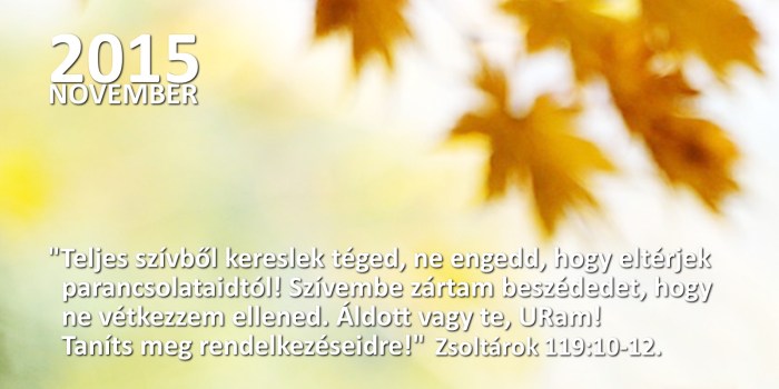 honap_igeverse_weboldal_camar november