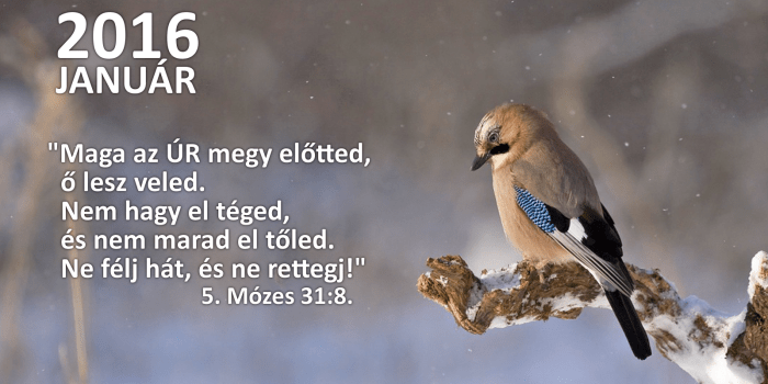 honap_igeverse_weboldal