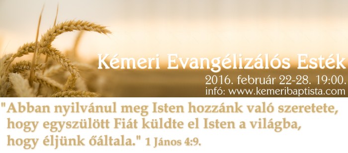 Ev_estek_barna_arnyek_JPG