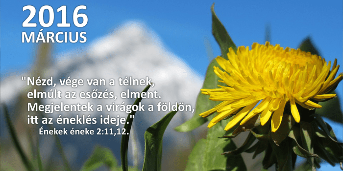 honap_igeverse_weboldal