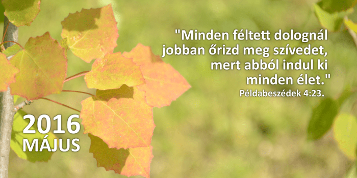 honap_igeverse_weboldal