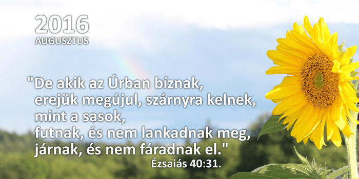 honap_igeverse_weboldal_camar_augusztus 2