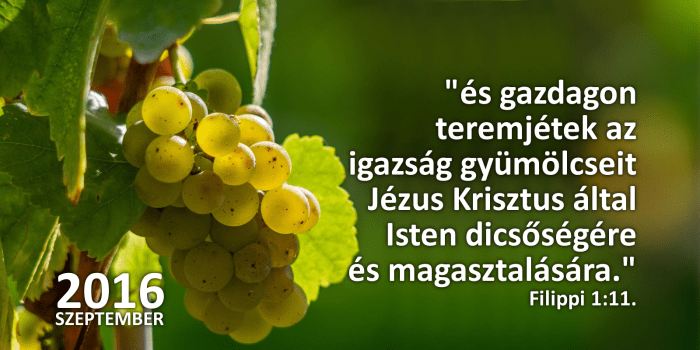 honap_igeverse_weboldal_camar_szeptember