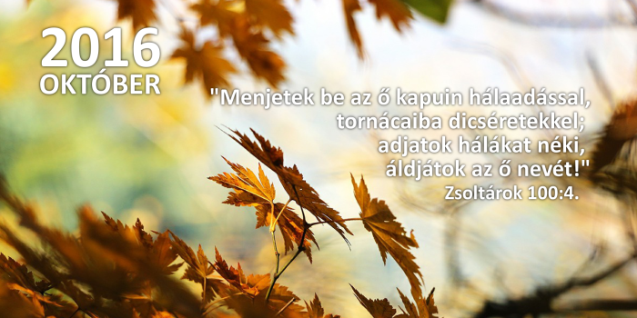 honap_igeverse_weboldal_camar-novemberokt