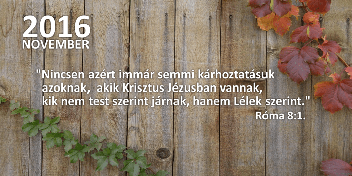 honap_igeverse_weboldal_camar-november