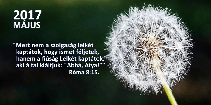 honap_igeverse_weboldal_MAJUS