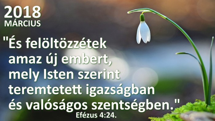 március_hónapigeverse_vetito2