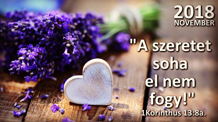 IMG_20181101_181348_176