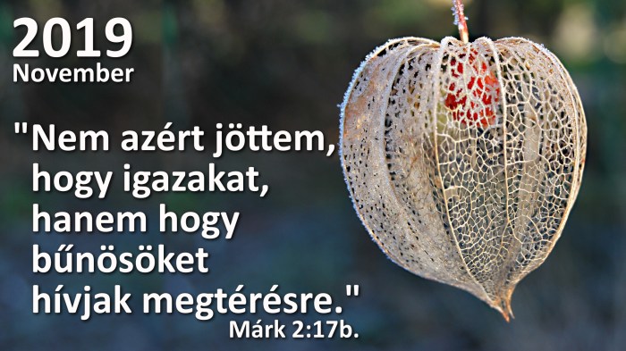 november_hónapigeverse