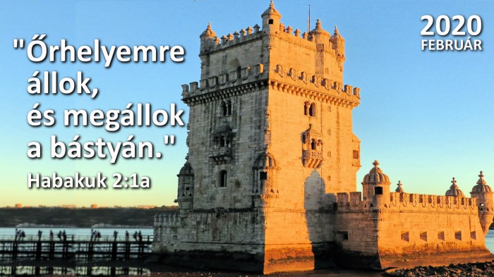 hónapigeverse