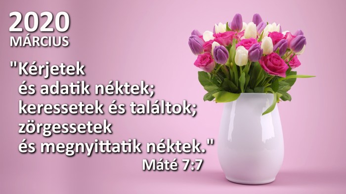 marcius_hónapigeverse